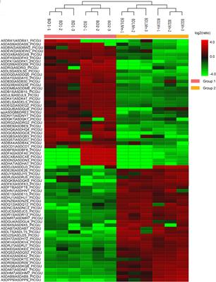 In silico Prediction of Protein–Protein Interaction Network Induced by Manganese II in Meyerozyma guilliermondii